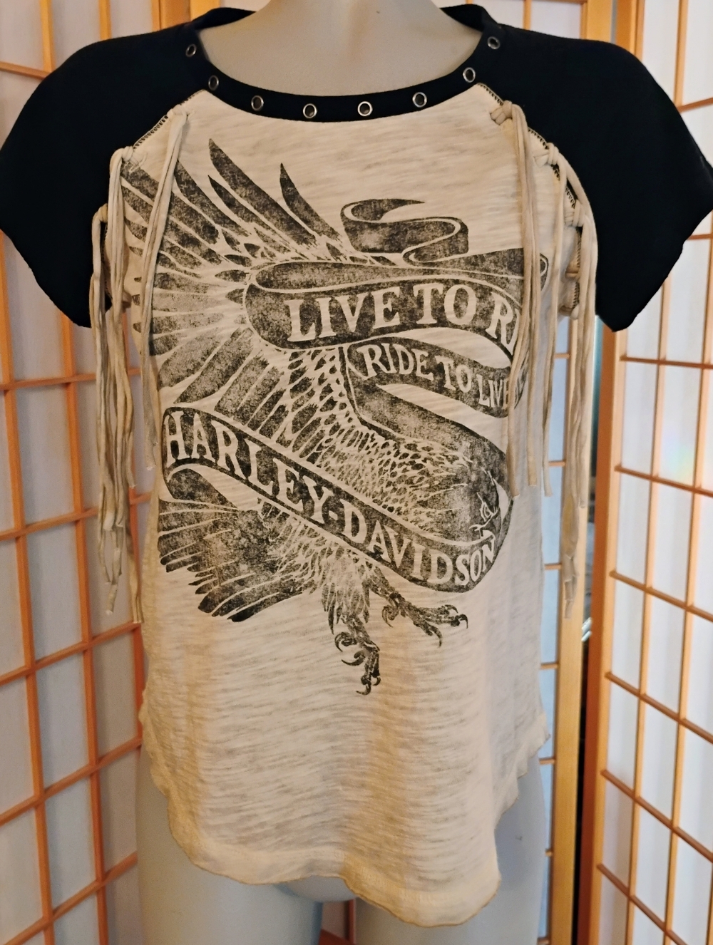 Harley Davidson T Shirt , Small